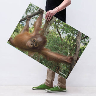 poster orango